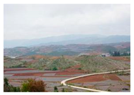 Ijerph 20 03130 i005