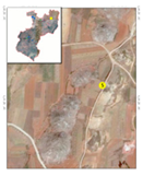 Ijerph 20 03130 i006