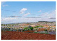 Ijerph 20 03130 i009