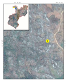 Ijerph 20 03130 i010