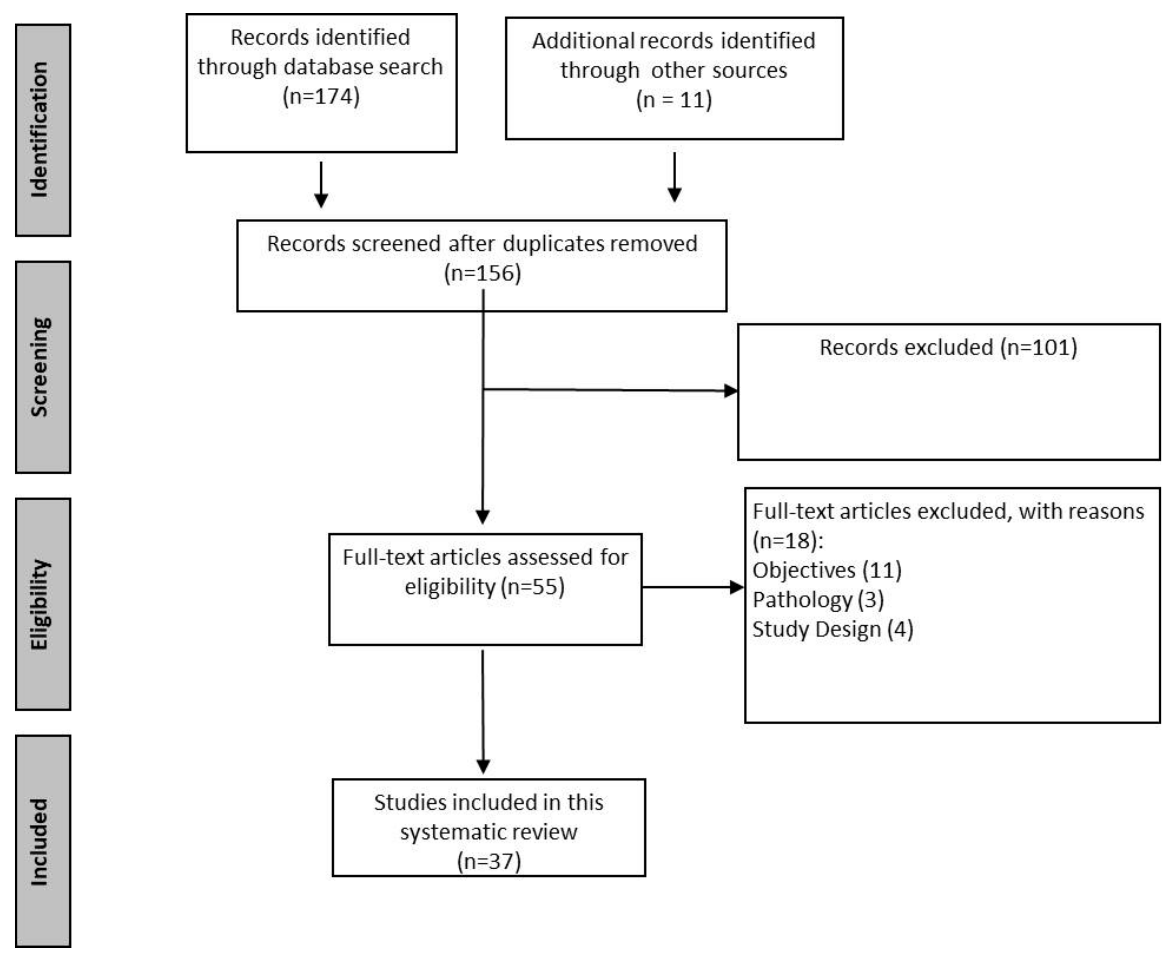 Ijerph 20 03161 g001