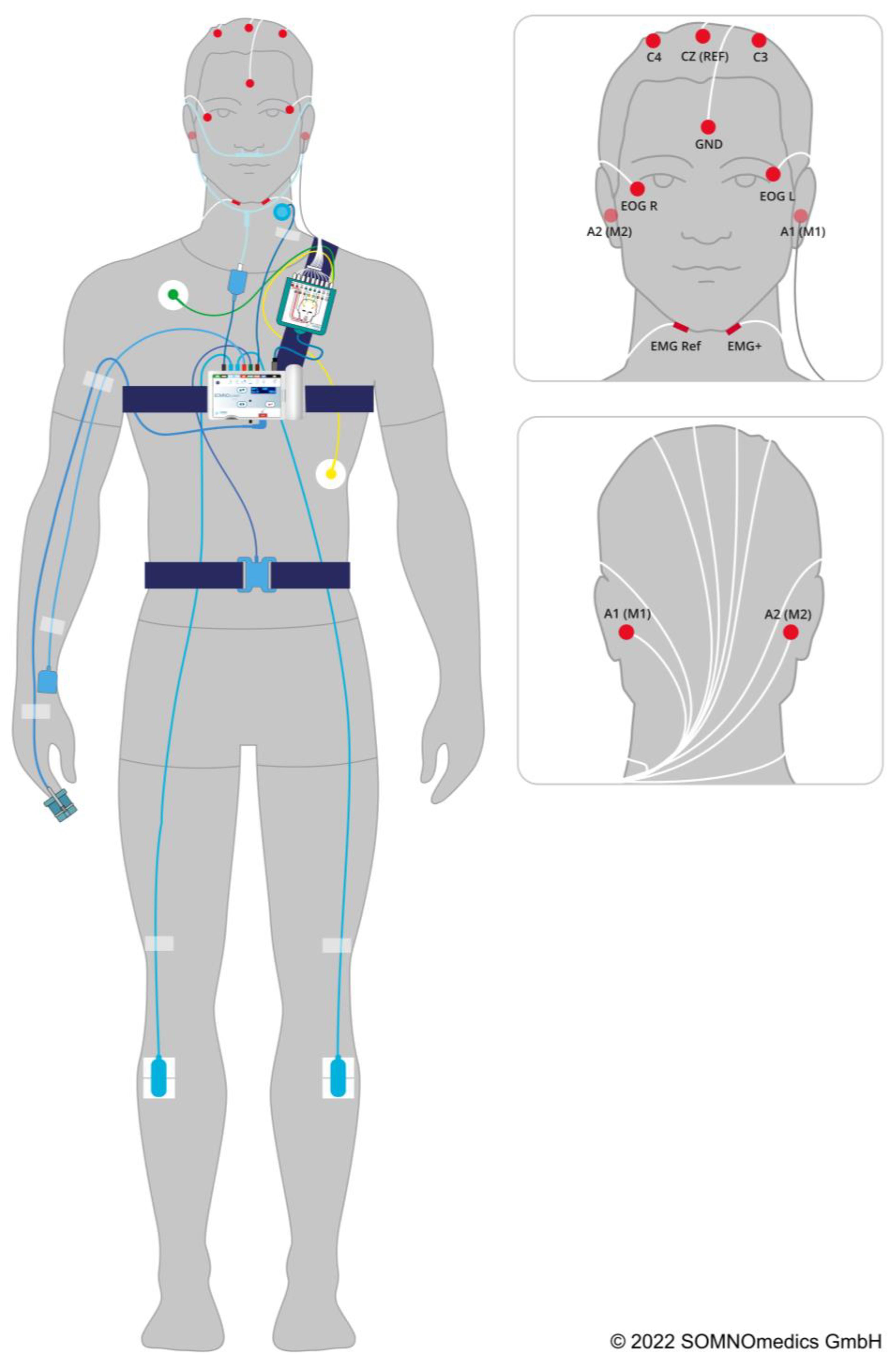 Ijerph 20 03168 g001