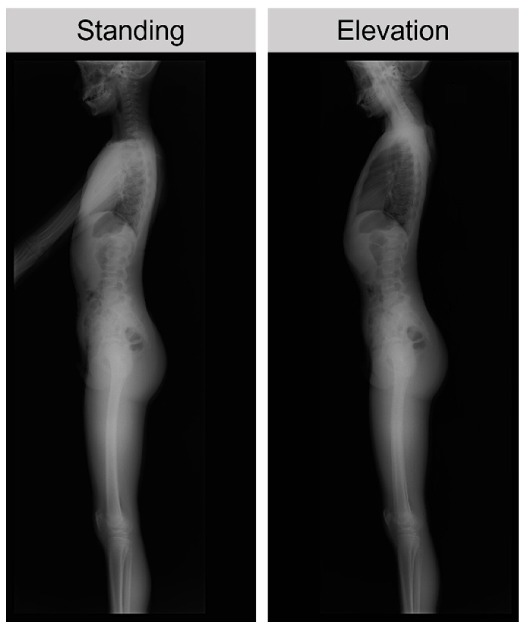 Ijerph 20 03231 g001