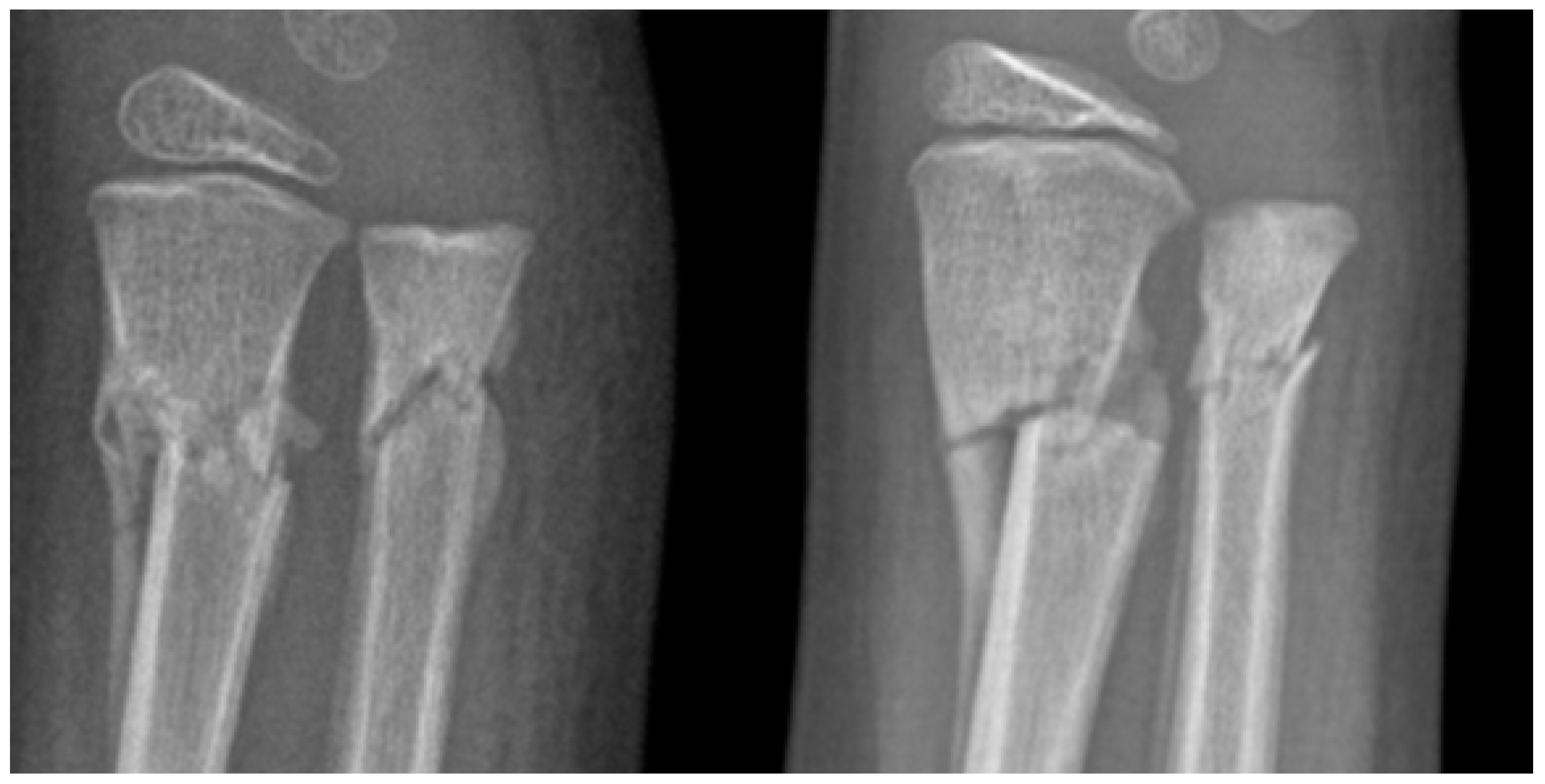 Ijerph 20 03300 g002