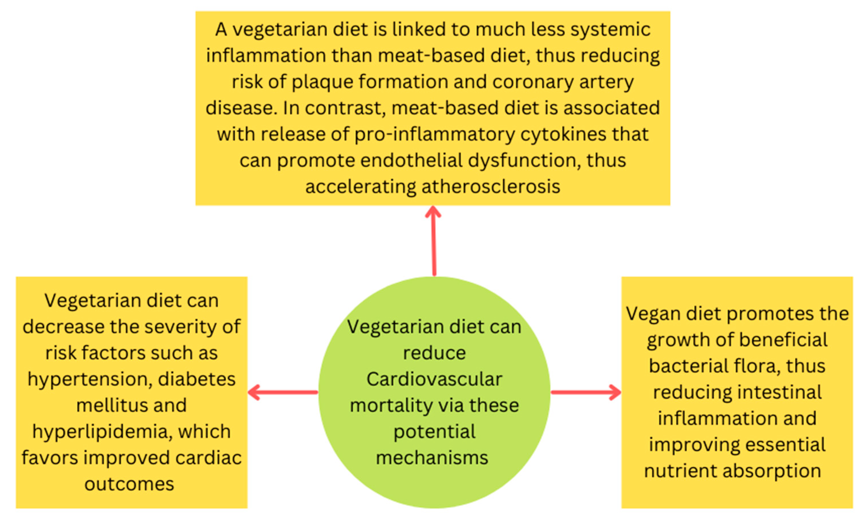 II. Understanding the Relationship between Veganism and Cardiovascular Disease