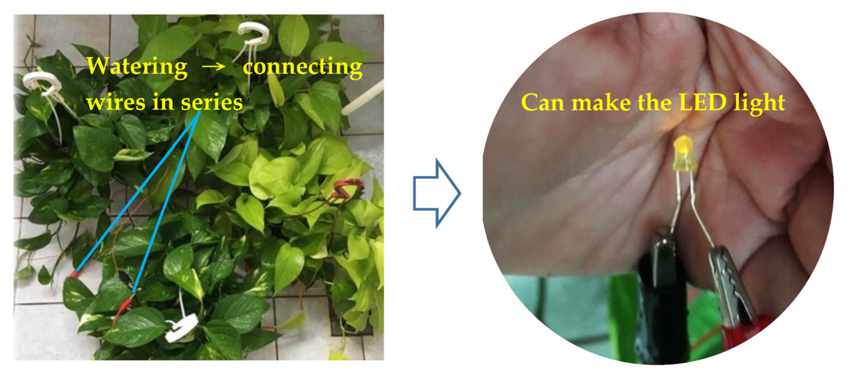 Ijerph 20 03368 g007 550