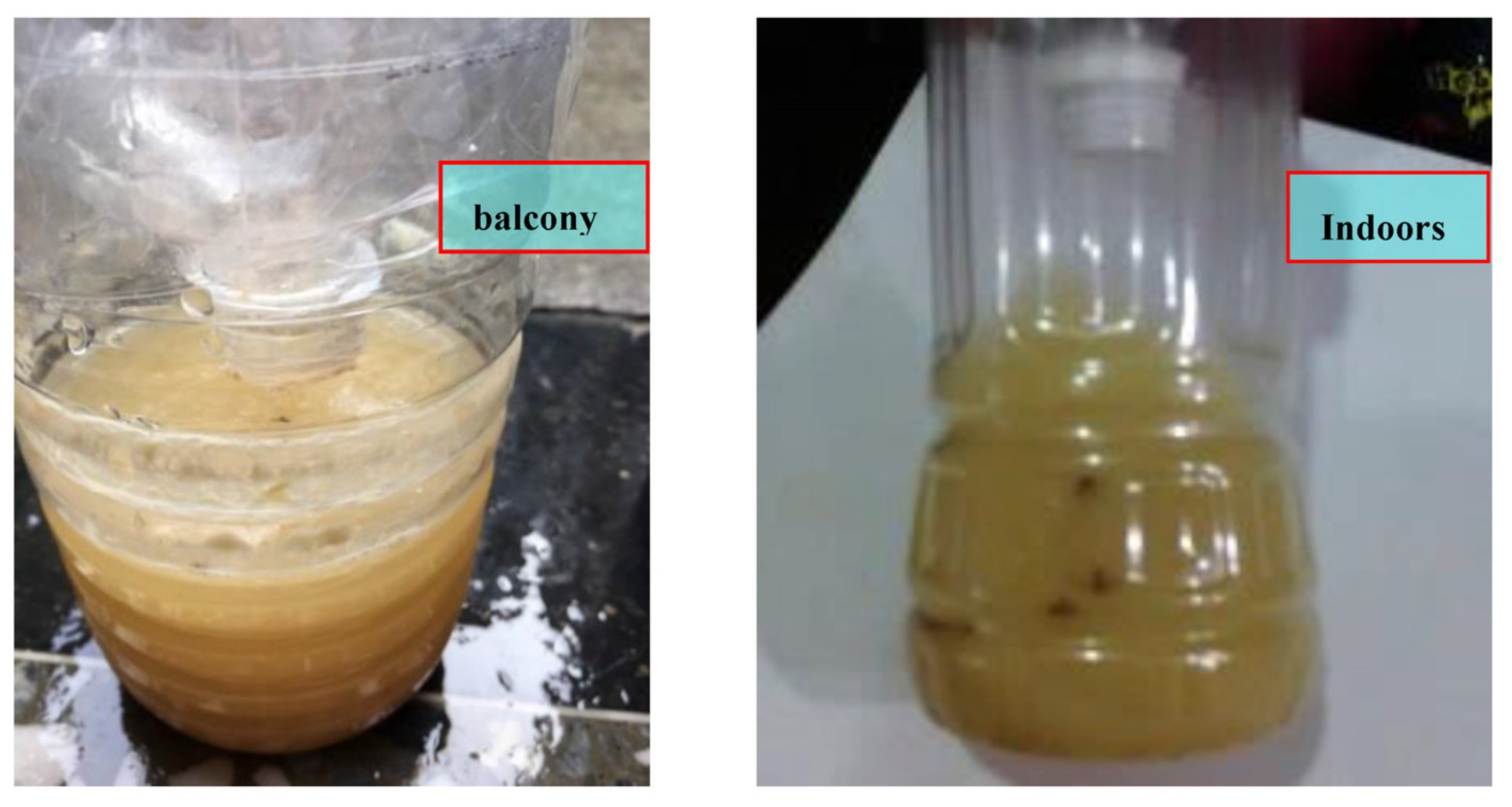 Ijerph 20 03368 g008 550