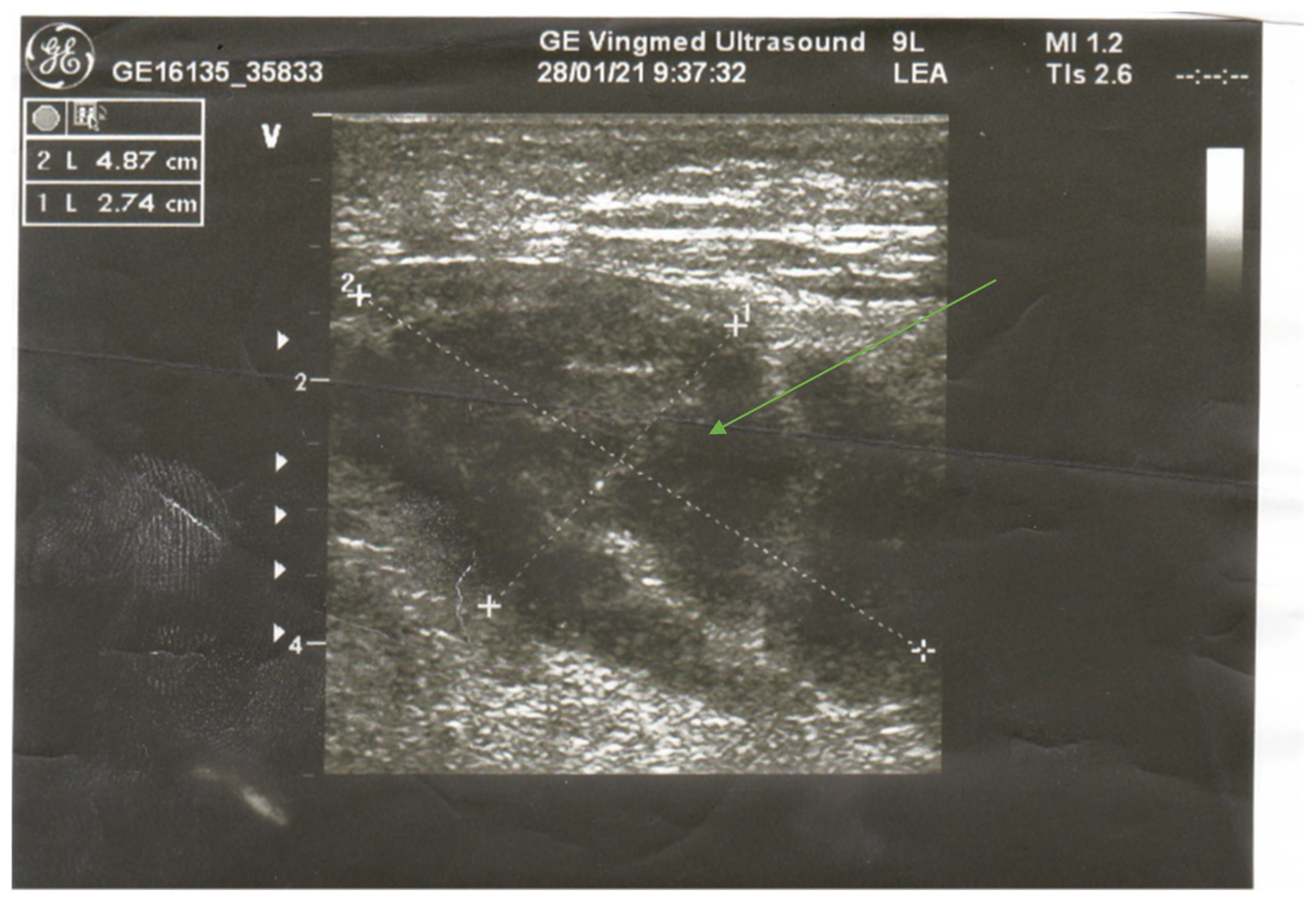 Ijerph 20 03390 g001