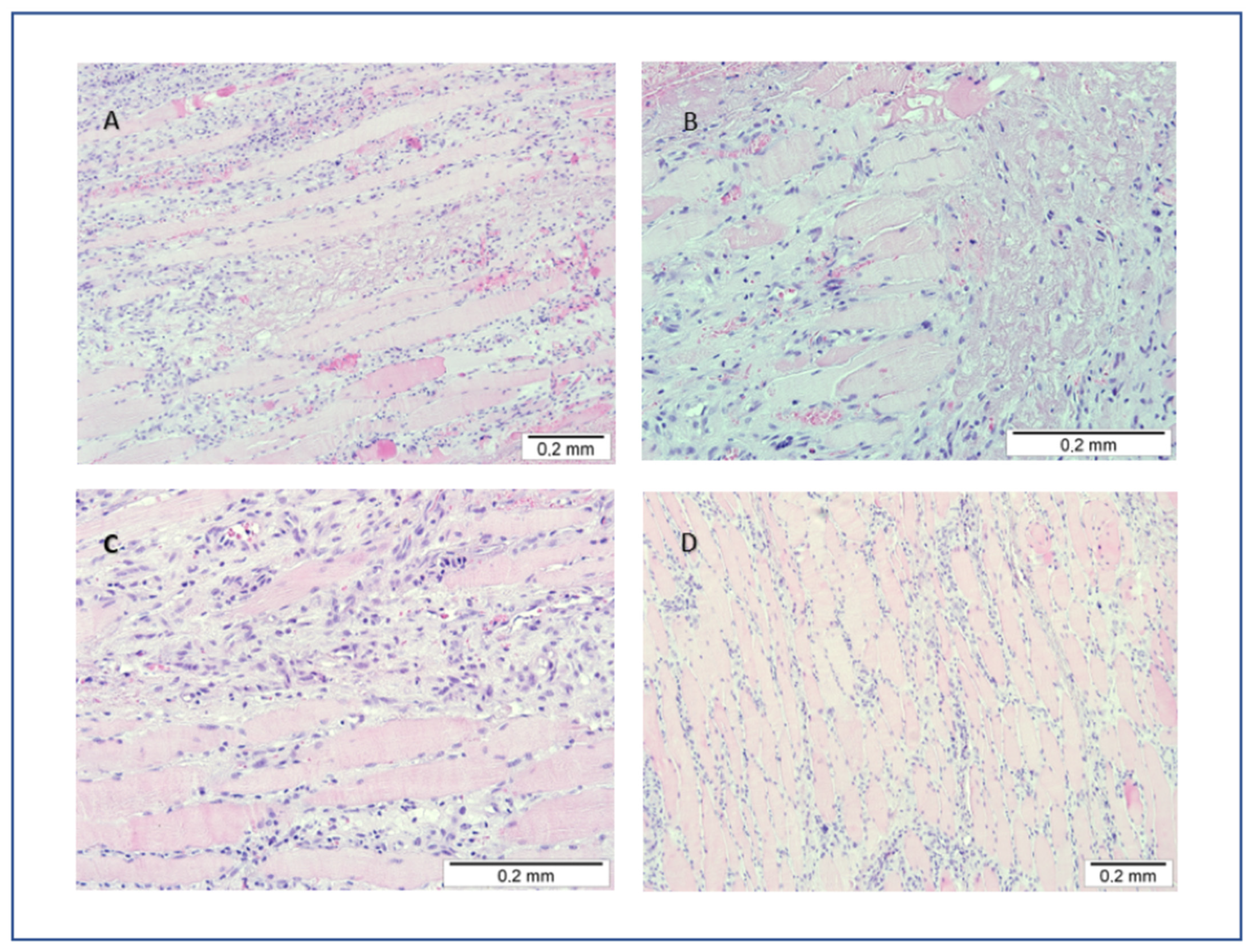 Ijerph 20 03390 g003
