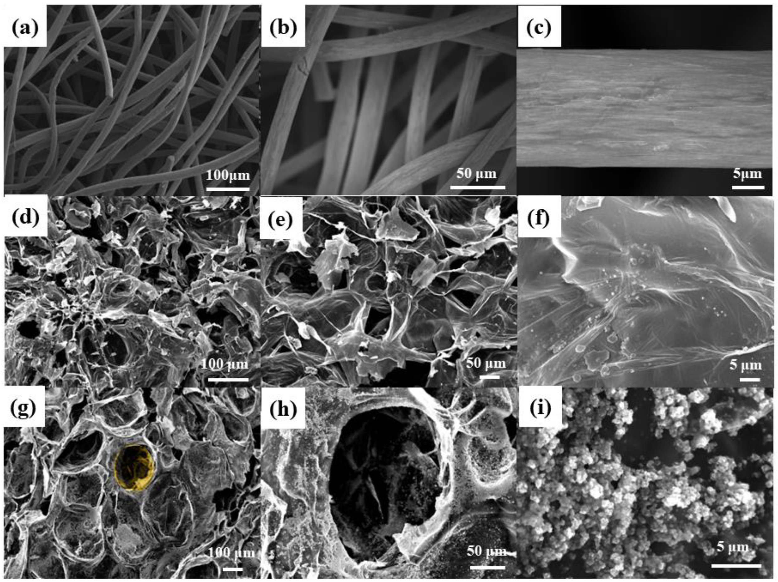 Ijerph 20 03437 g002