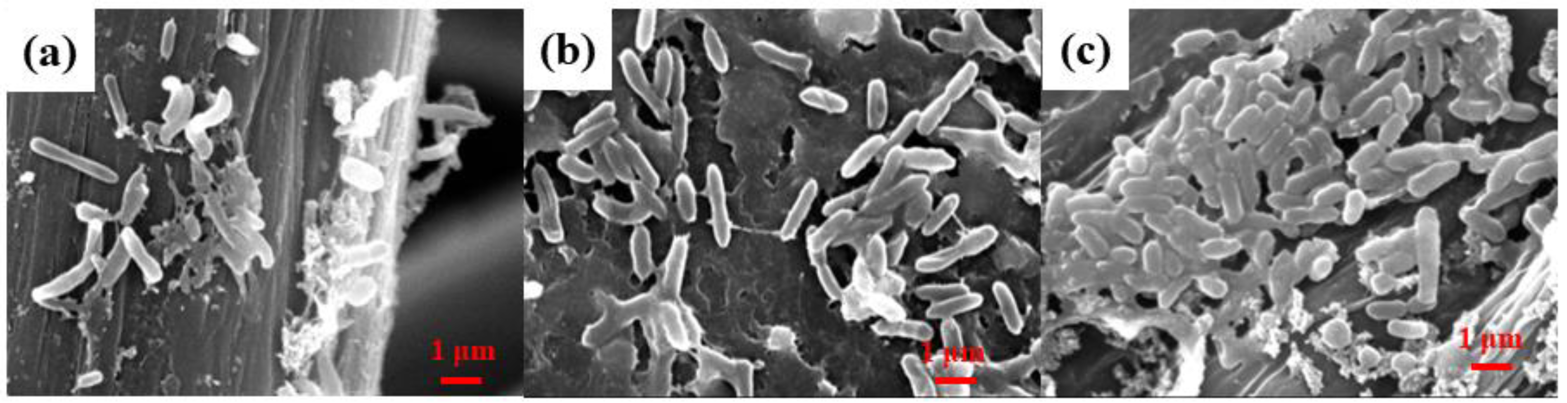 Ijerph 20 03437 g011