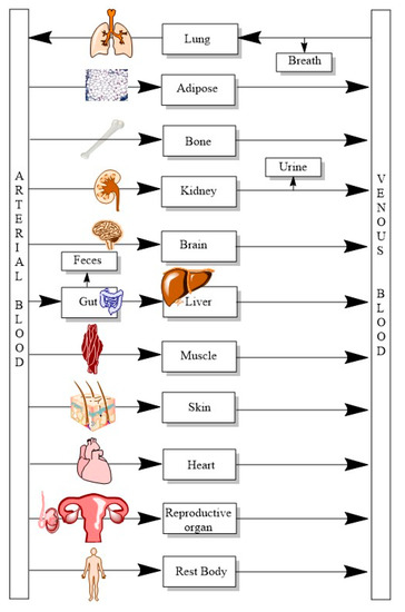 The Role of “Physiologically Based Pharmacokinetic Model (PBPK)” New Approach Methodology (NAM) in Pharmaceuticals and Environmental Chemical Risk Assessment