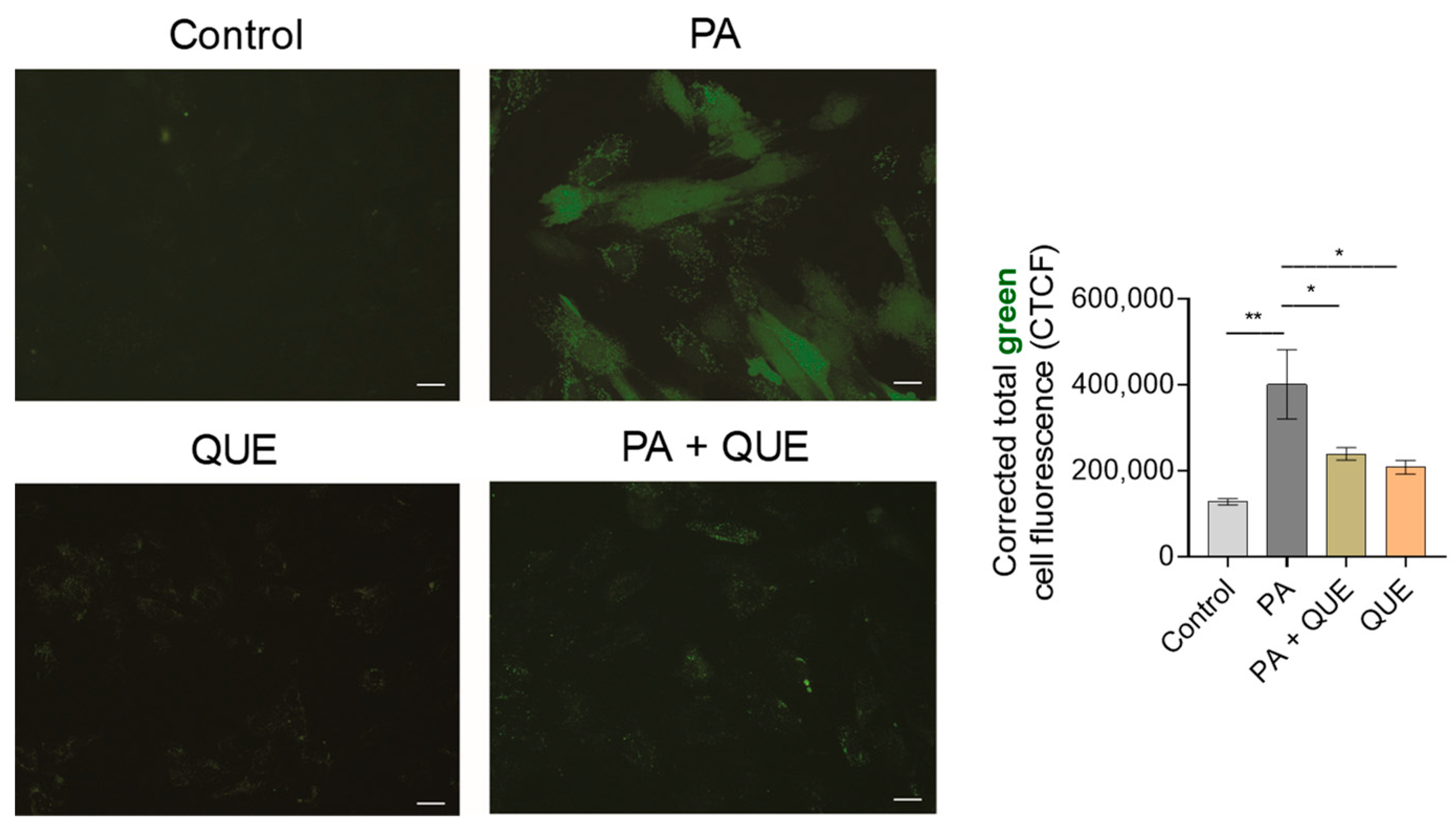 Ijerph 20 03492 g004 Ijerph 20 03492 g004