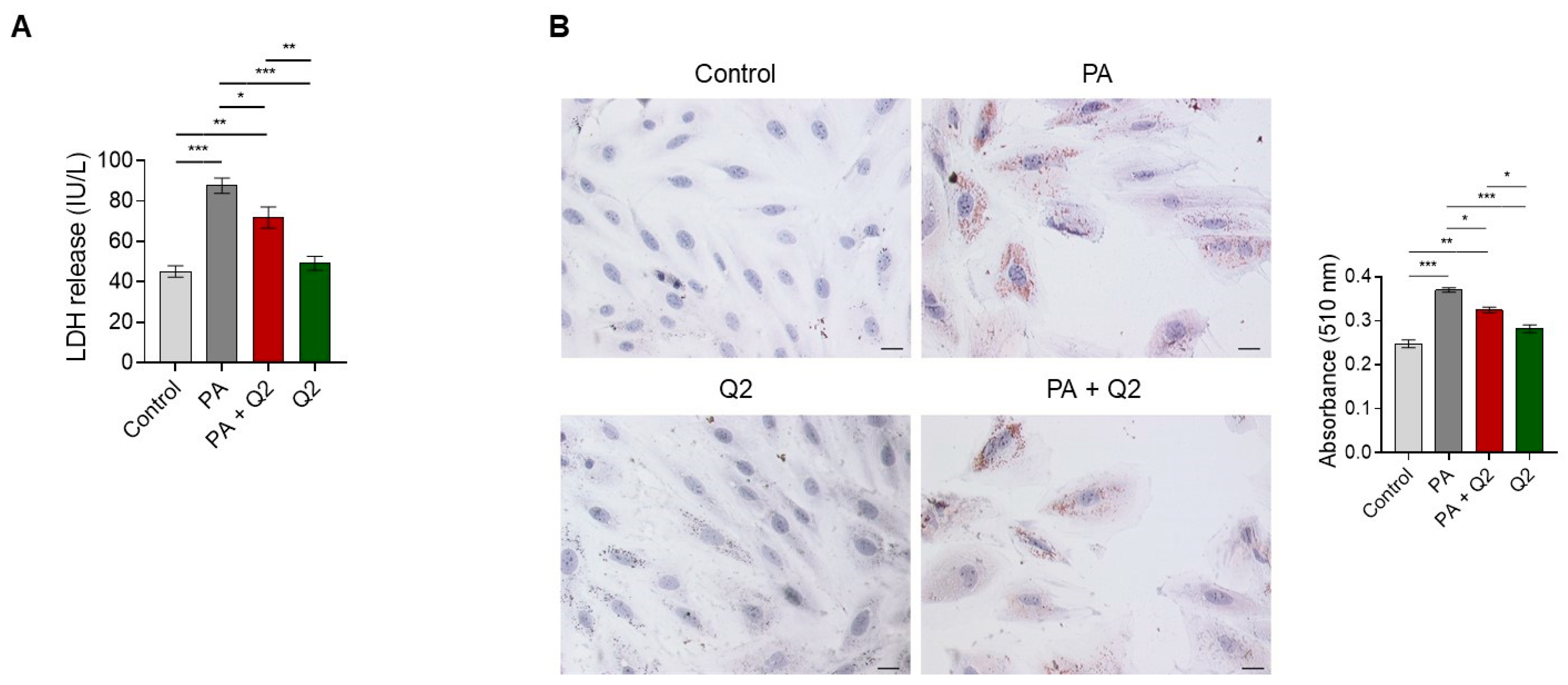 Ijerph 20 03492 g006 Ijerph 20 03492 g006