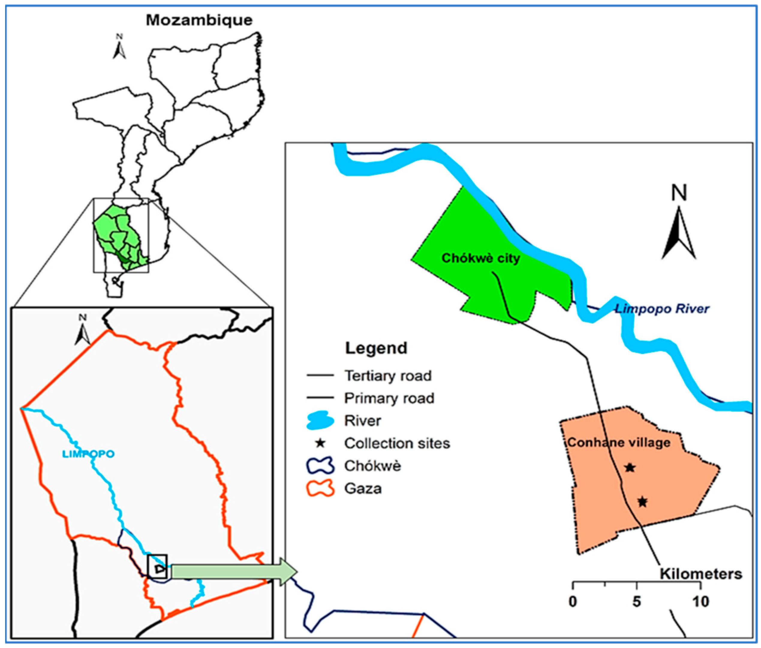 Ijerph 20 03597 g001