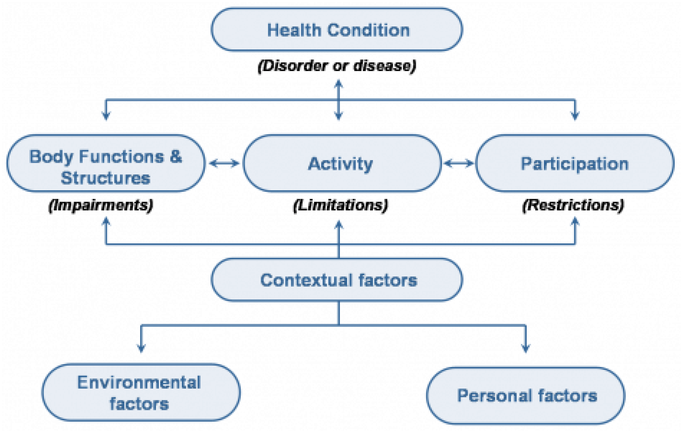 Development of a Physical TherapyBased Exercise Program for Adults