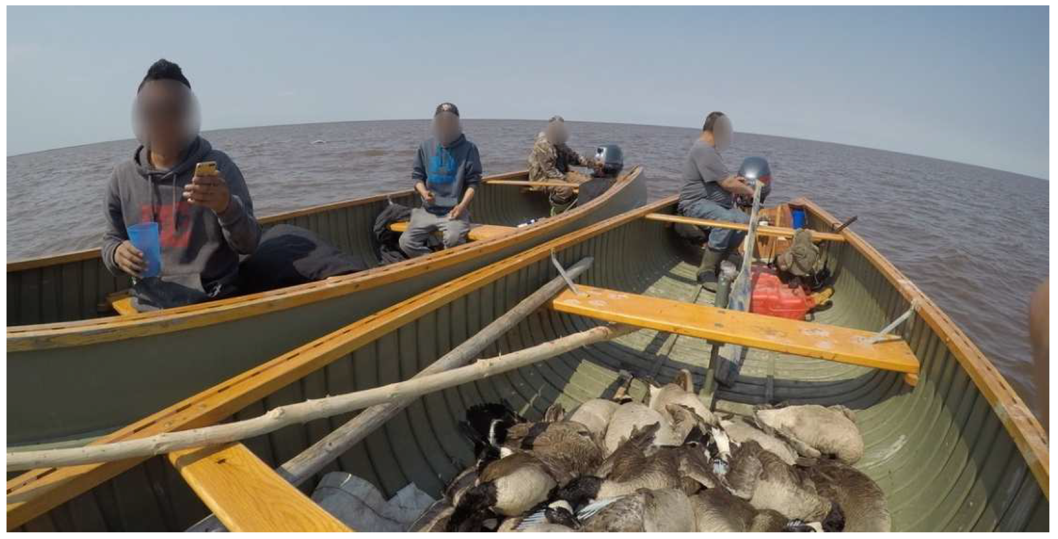 Ijerph 20 03686 g003