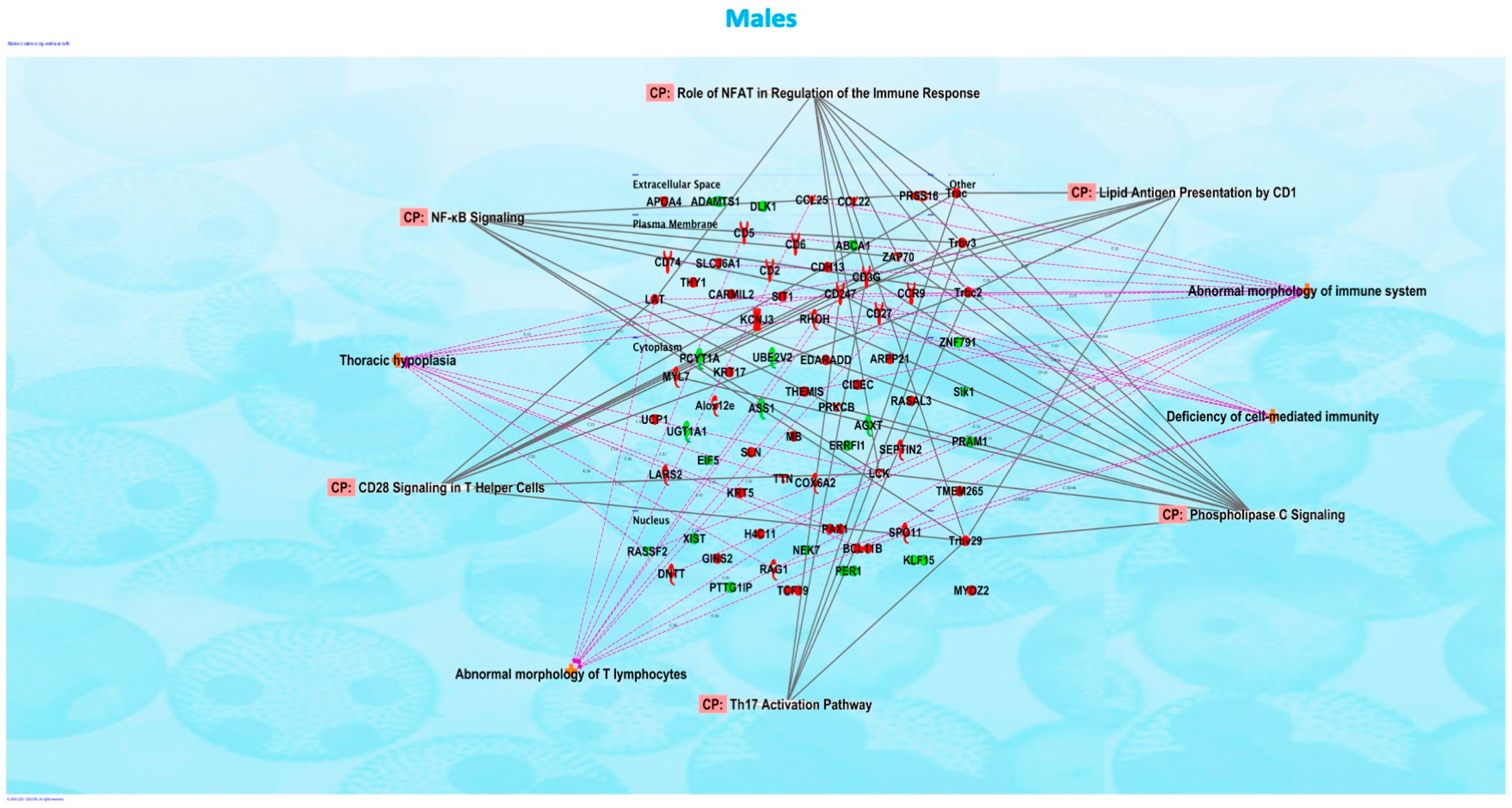 Ijerph 20 03710 g002 Ijerph 20 03710 g002