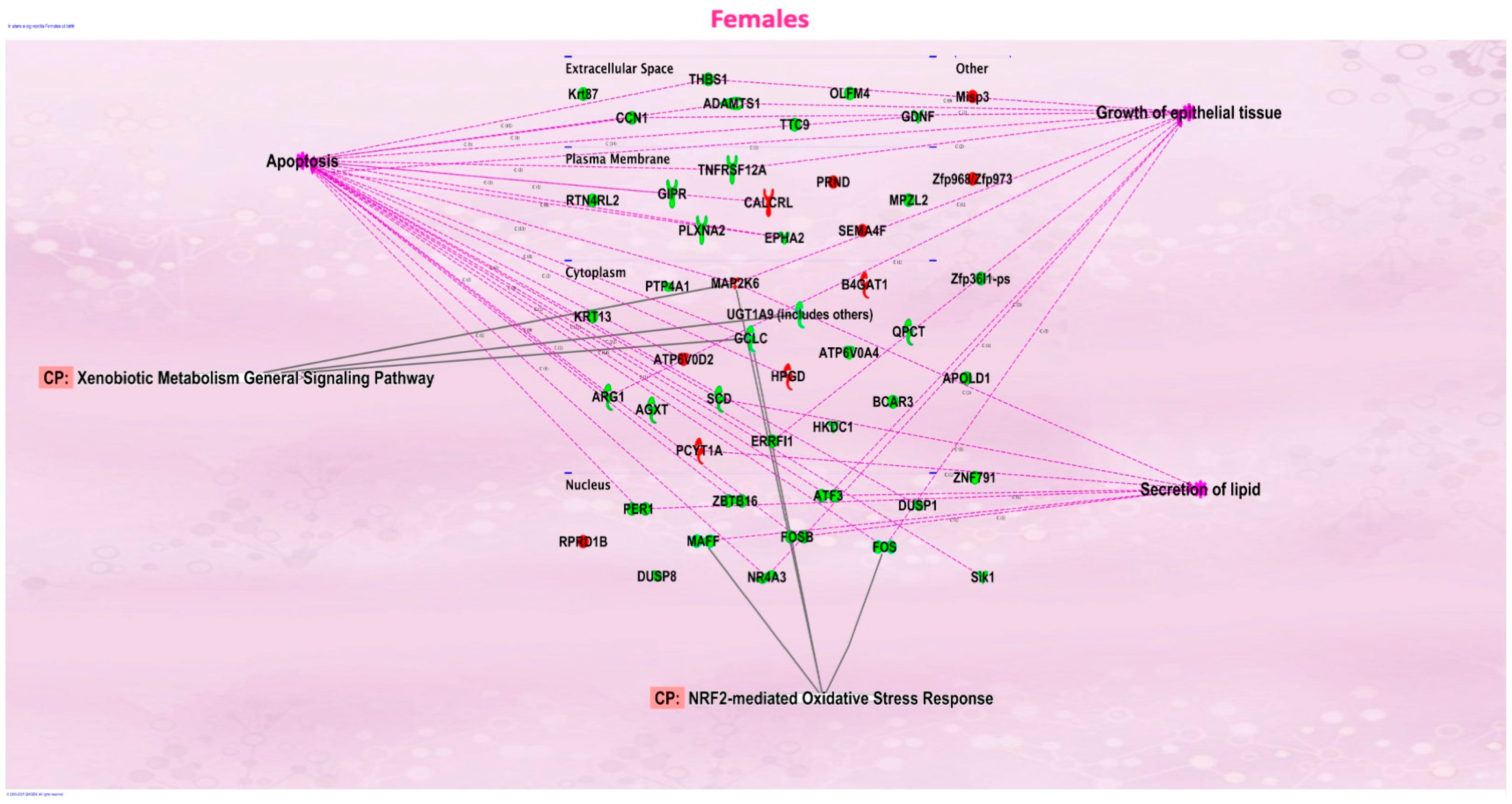 Ijerph 20 03710 g003 Ijerph 20 03710 g003