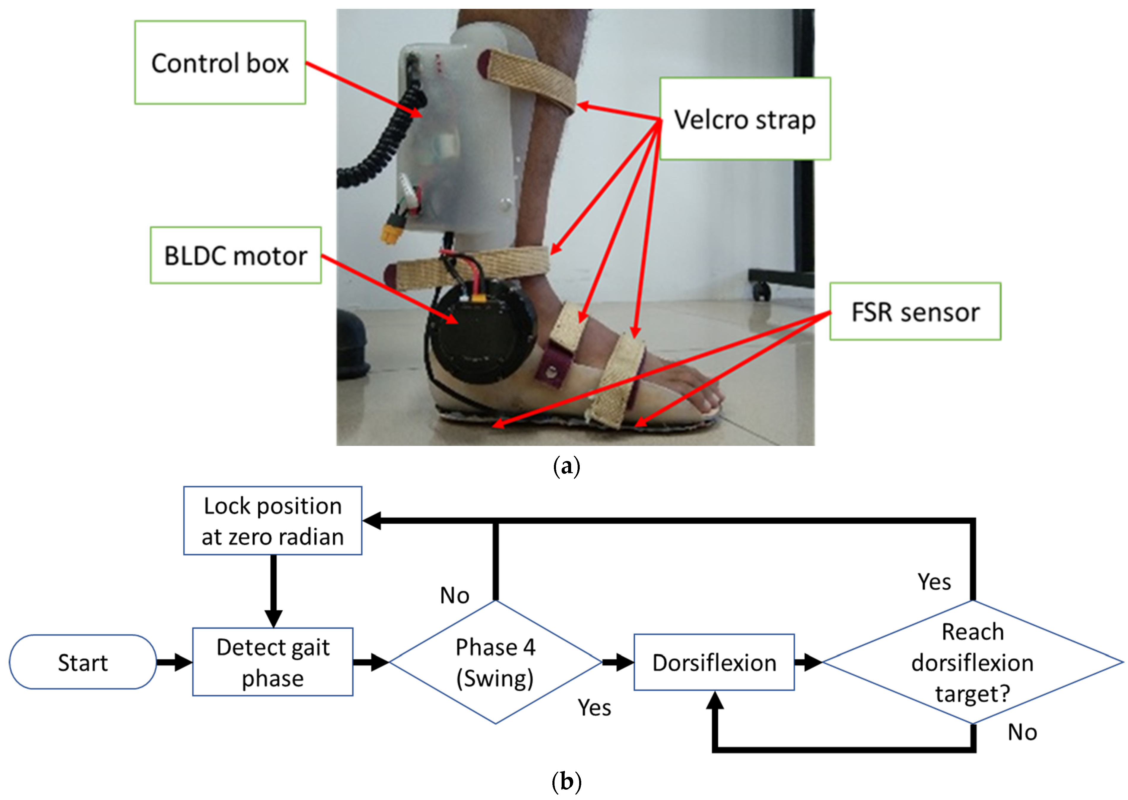 Ijerph 20 03745 g001