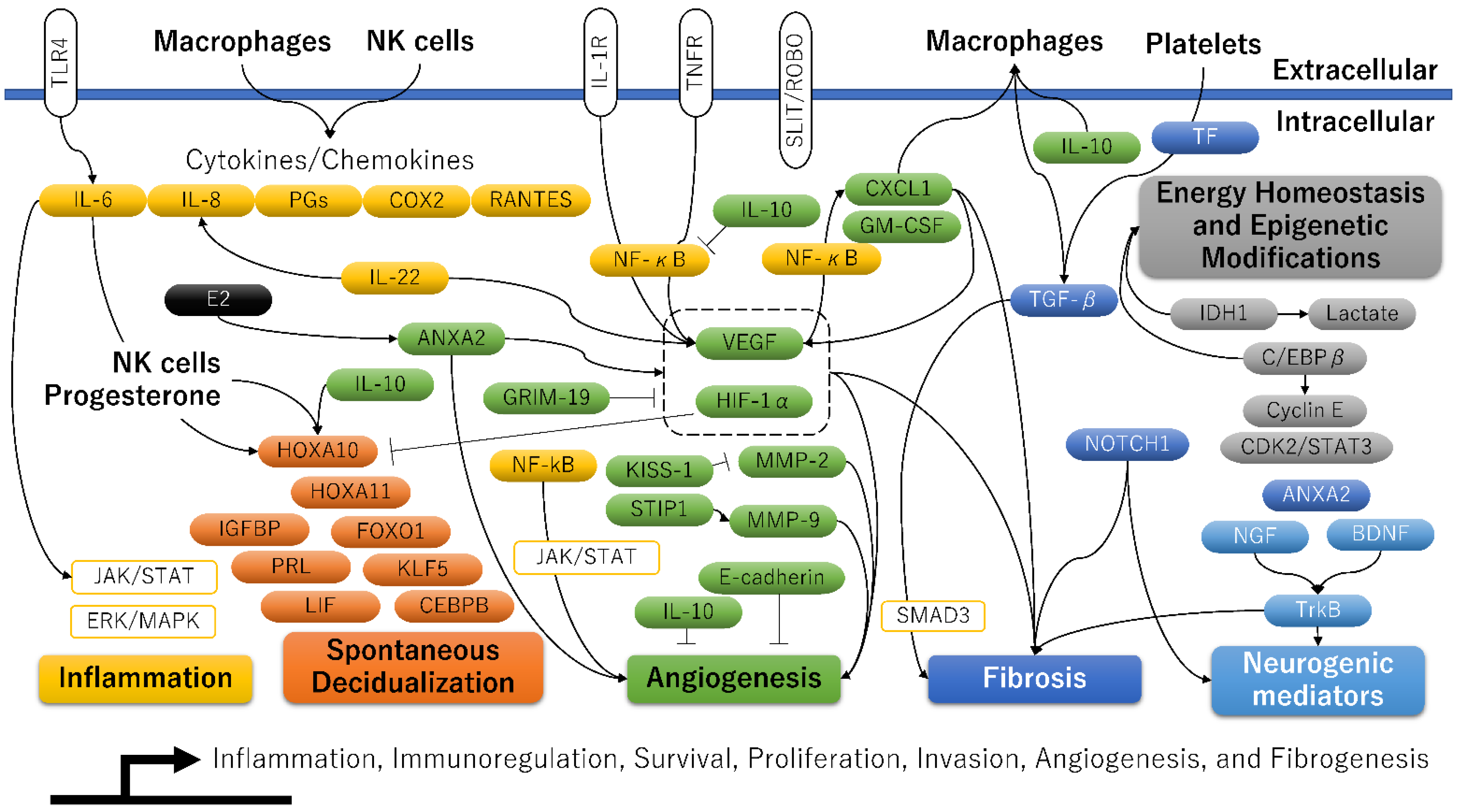 Ijerph 20 03762 g002