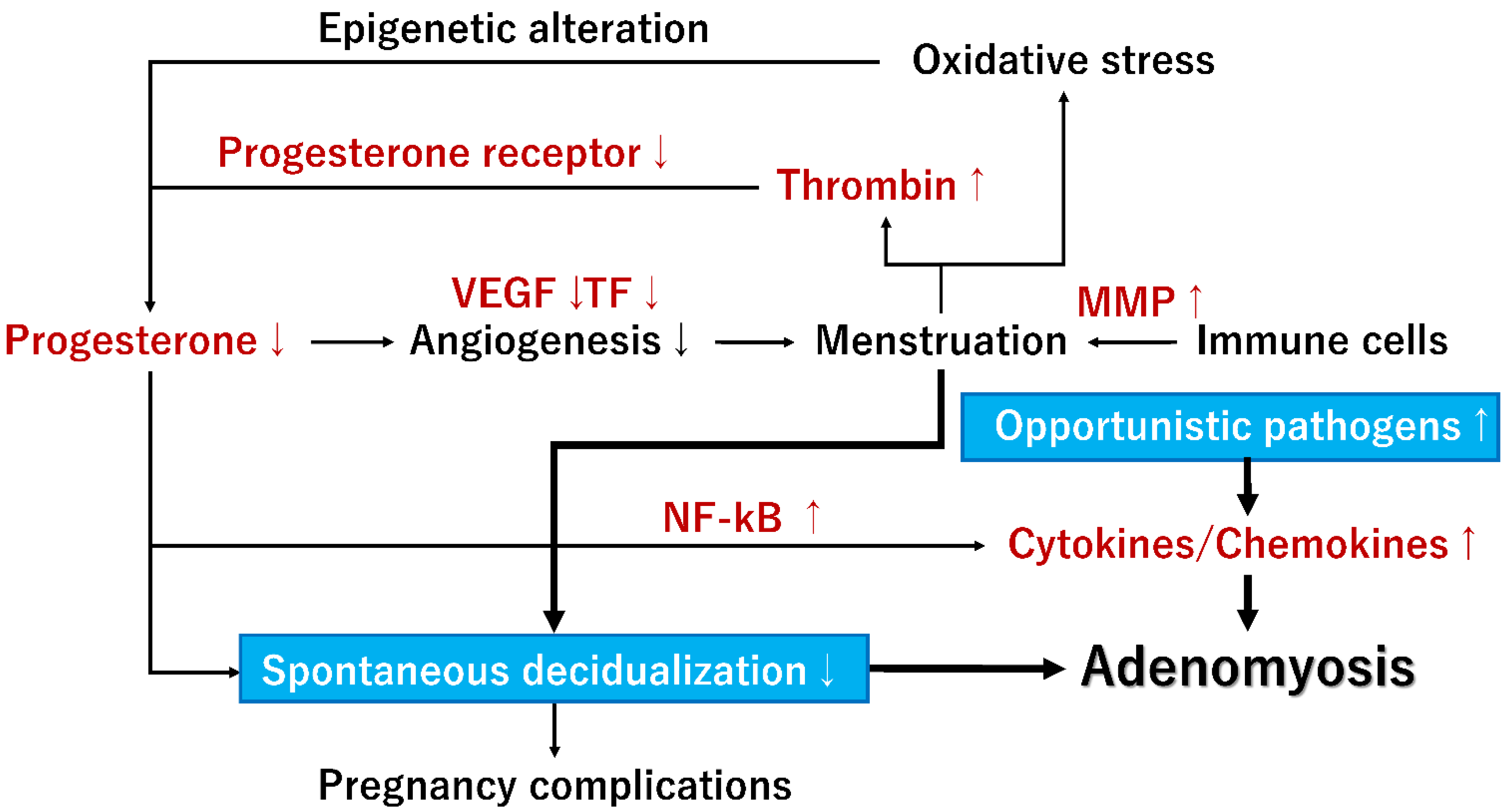 Ijerph 20 03762 g003