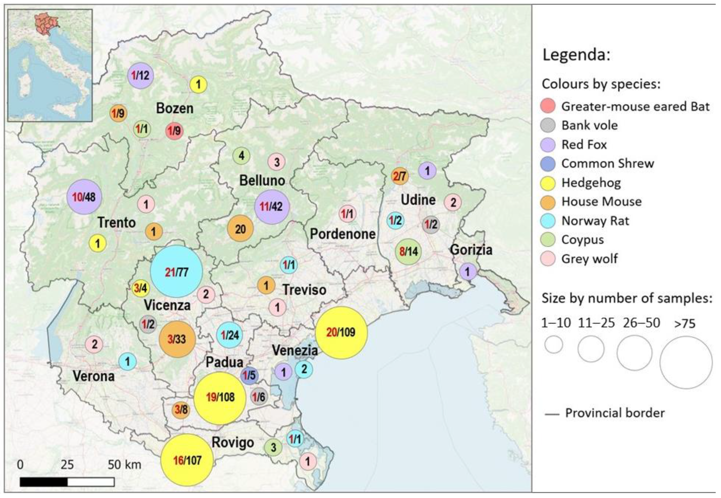 Ijerph 20 03783 g001