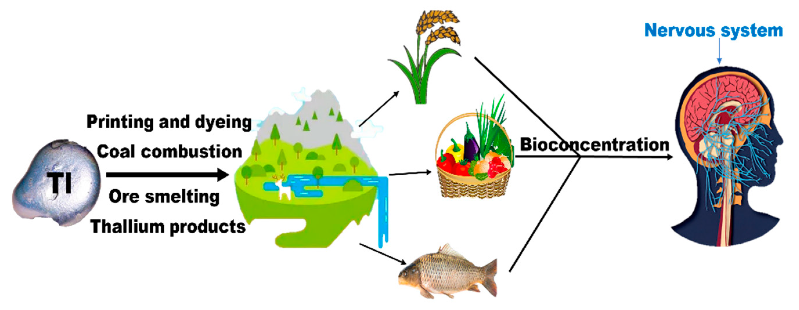 Ijerph 20 03829 g001