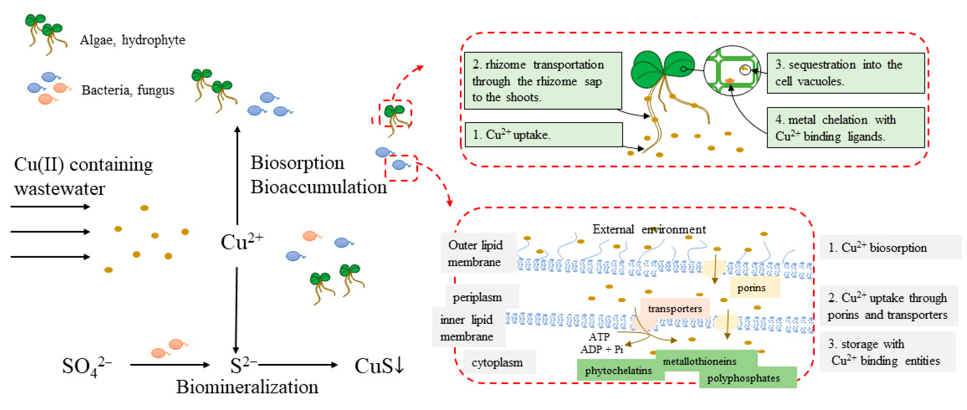Ijerph 20 03885 g004 Ijerph 20 03885 g004