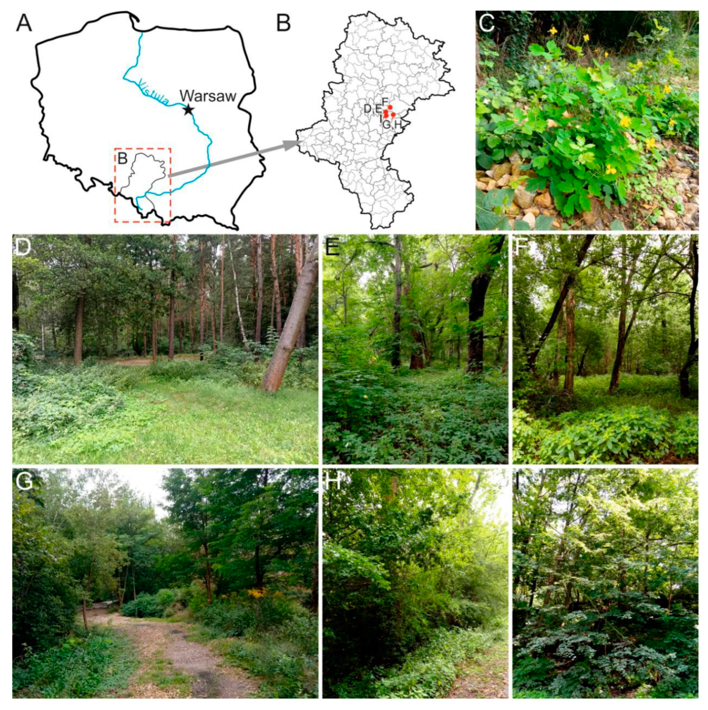 Ijerph 20 03887 g001 Ijerph 20 03887 g001