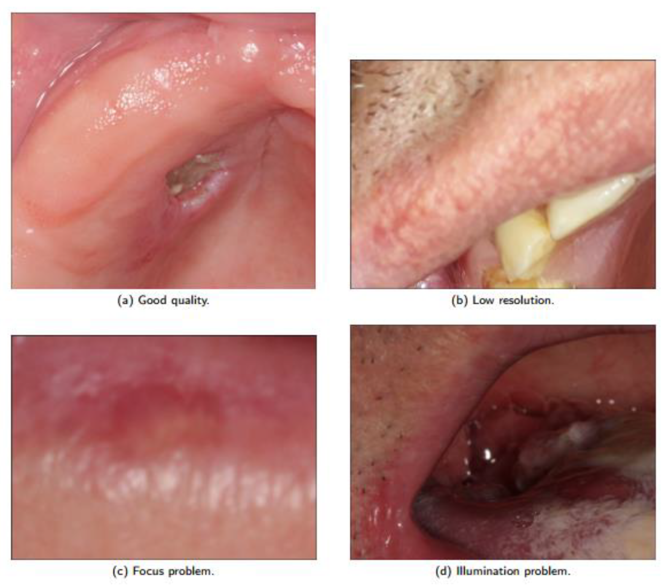 Ijerph 20 03894 g003 Ijerph 20 03894 g003