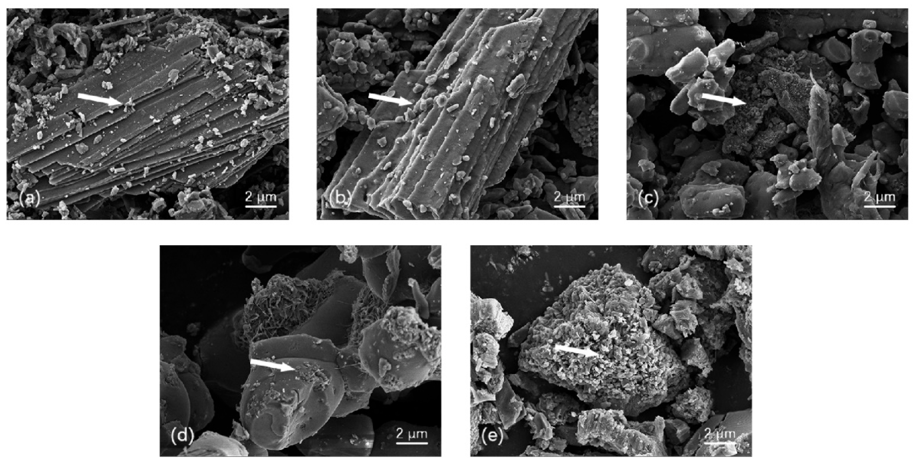 Ijerph 20 03919 g002 Ijerph 20 03919 g002