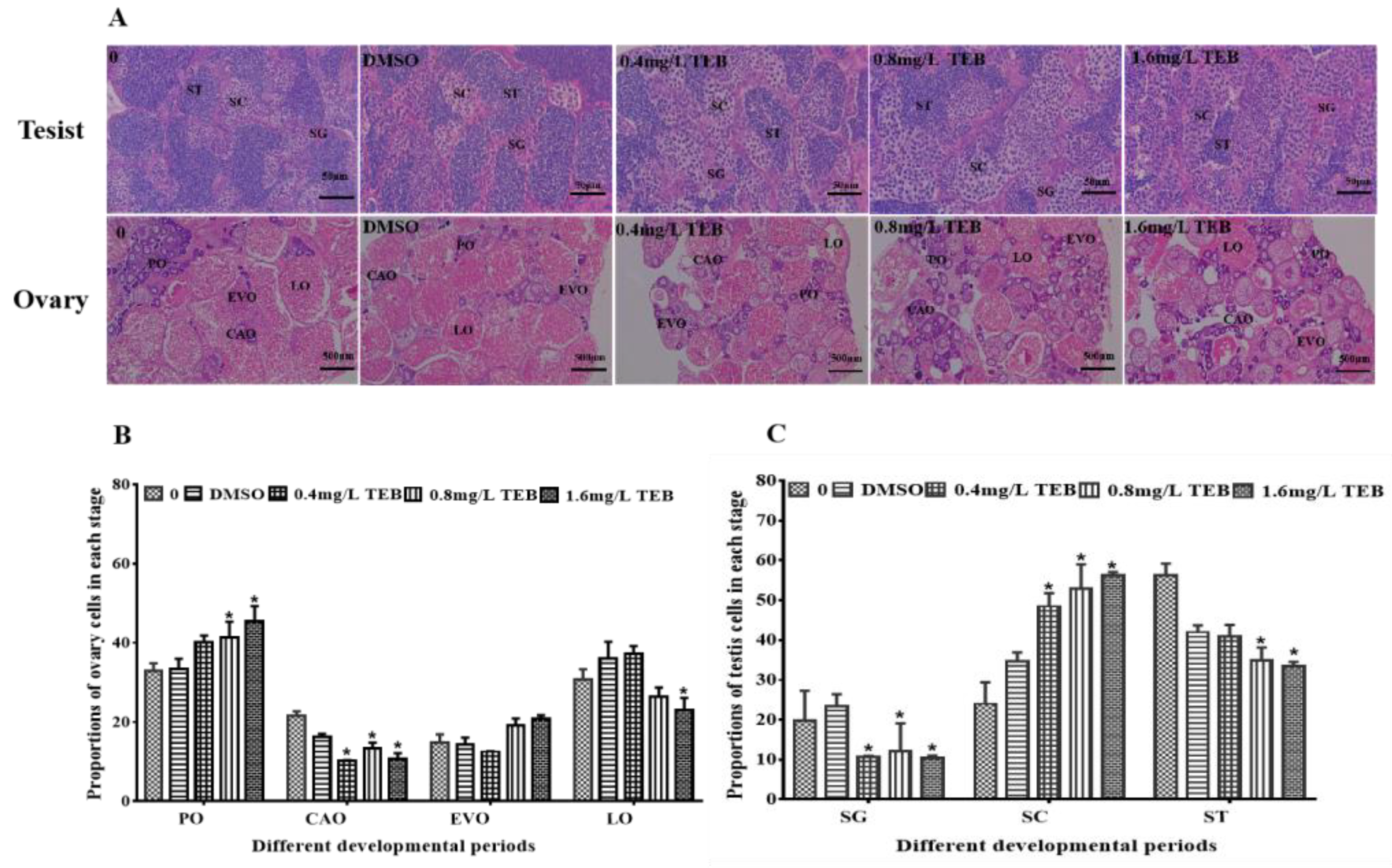 Ijerph 20 03928 g002