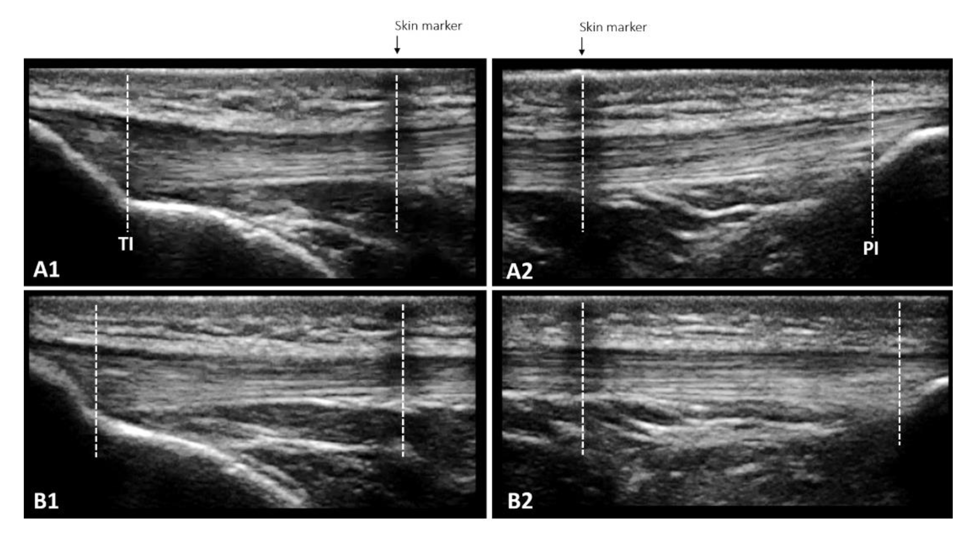 Ijerph 20 03947 g003