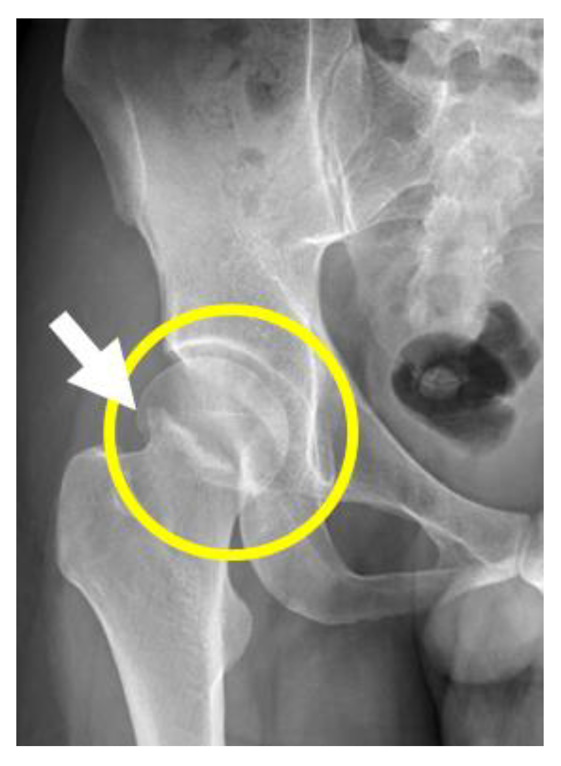 Ijerph 20 04004 g001