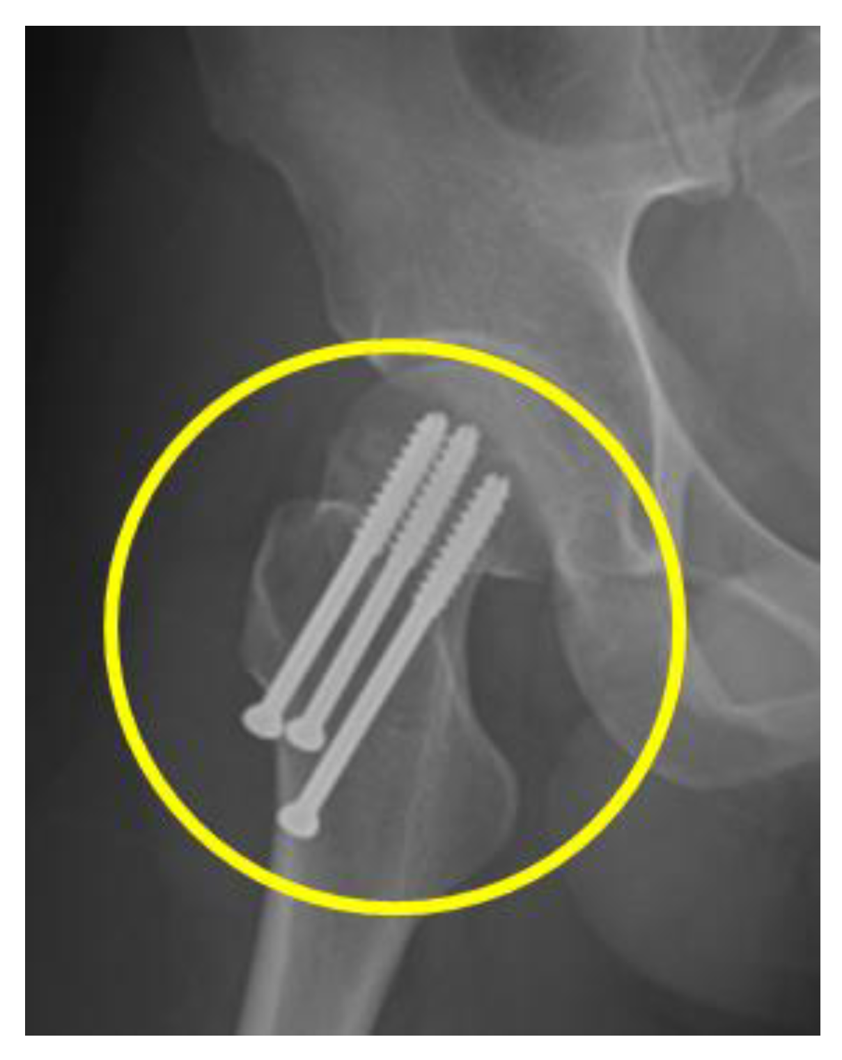 Ijerph 20 04004 g002