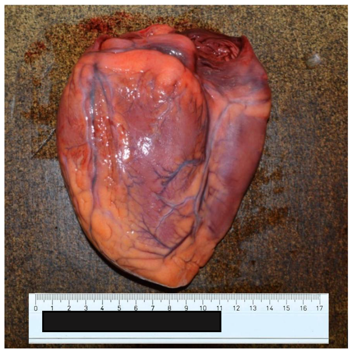 Ijerph 20 04028 g004 Ijerph 20 04028 g004