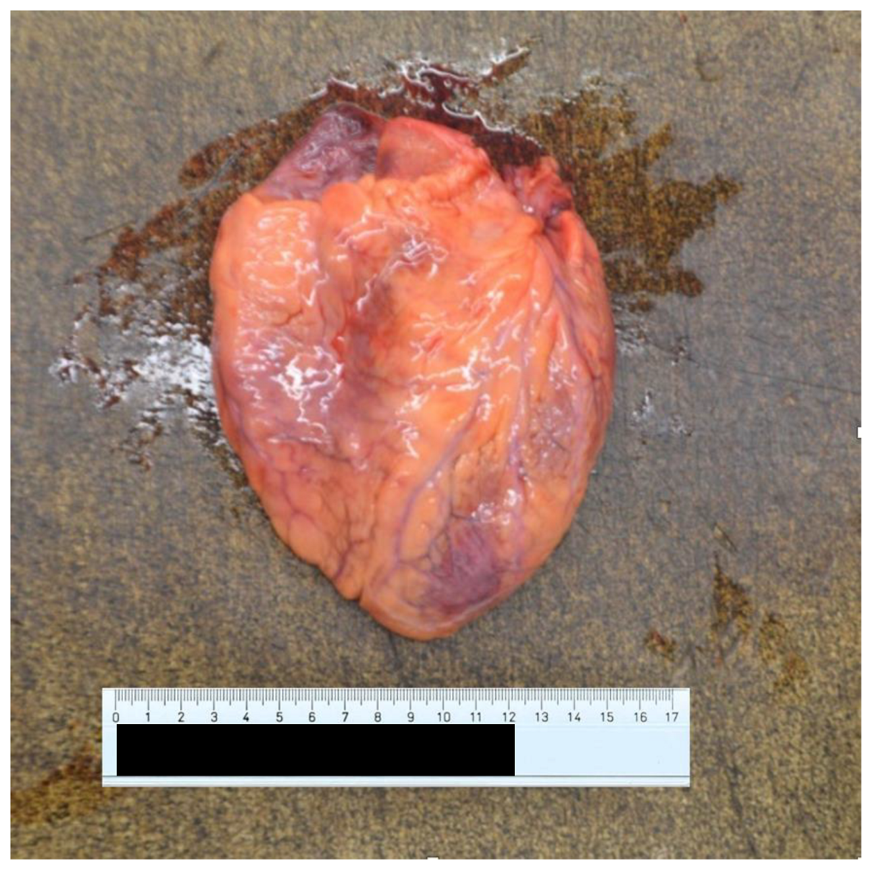 Ijerph 20 04028 g005 Ijerph 20 04028 g005