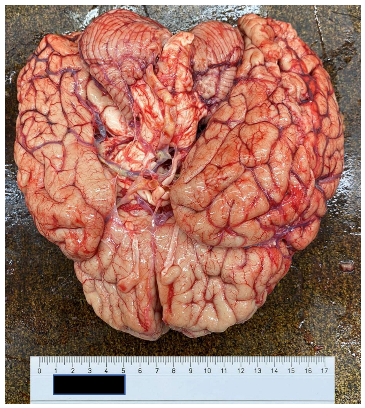 Ijerph 20 04028 g007 Ijerph 20 04028 g007