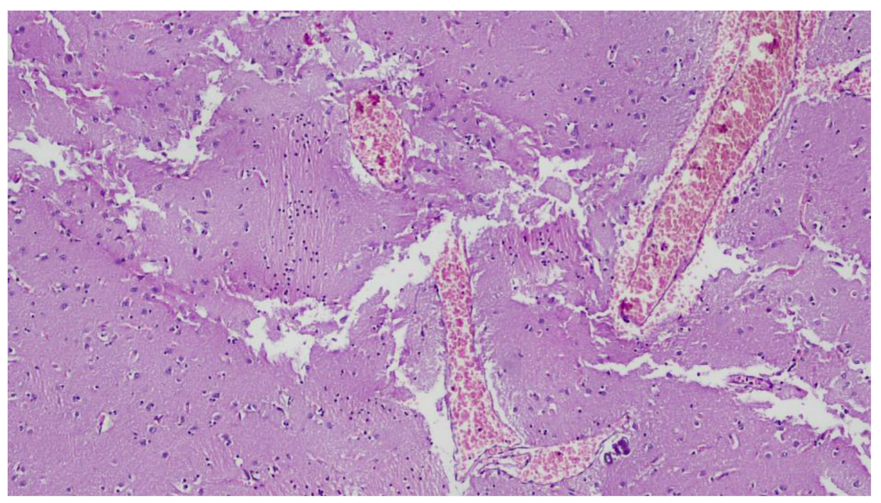 Ijerph 20 04028 g008 Ijerph 20 04028 g008