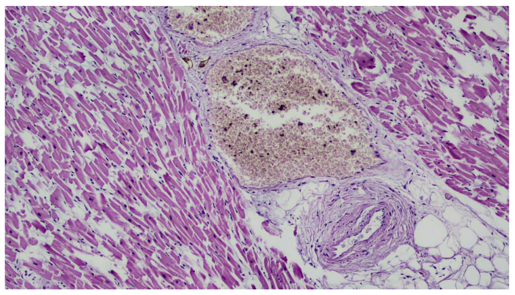 Ijerph 20 04028 g009 Ijerph 20 04028 g009