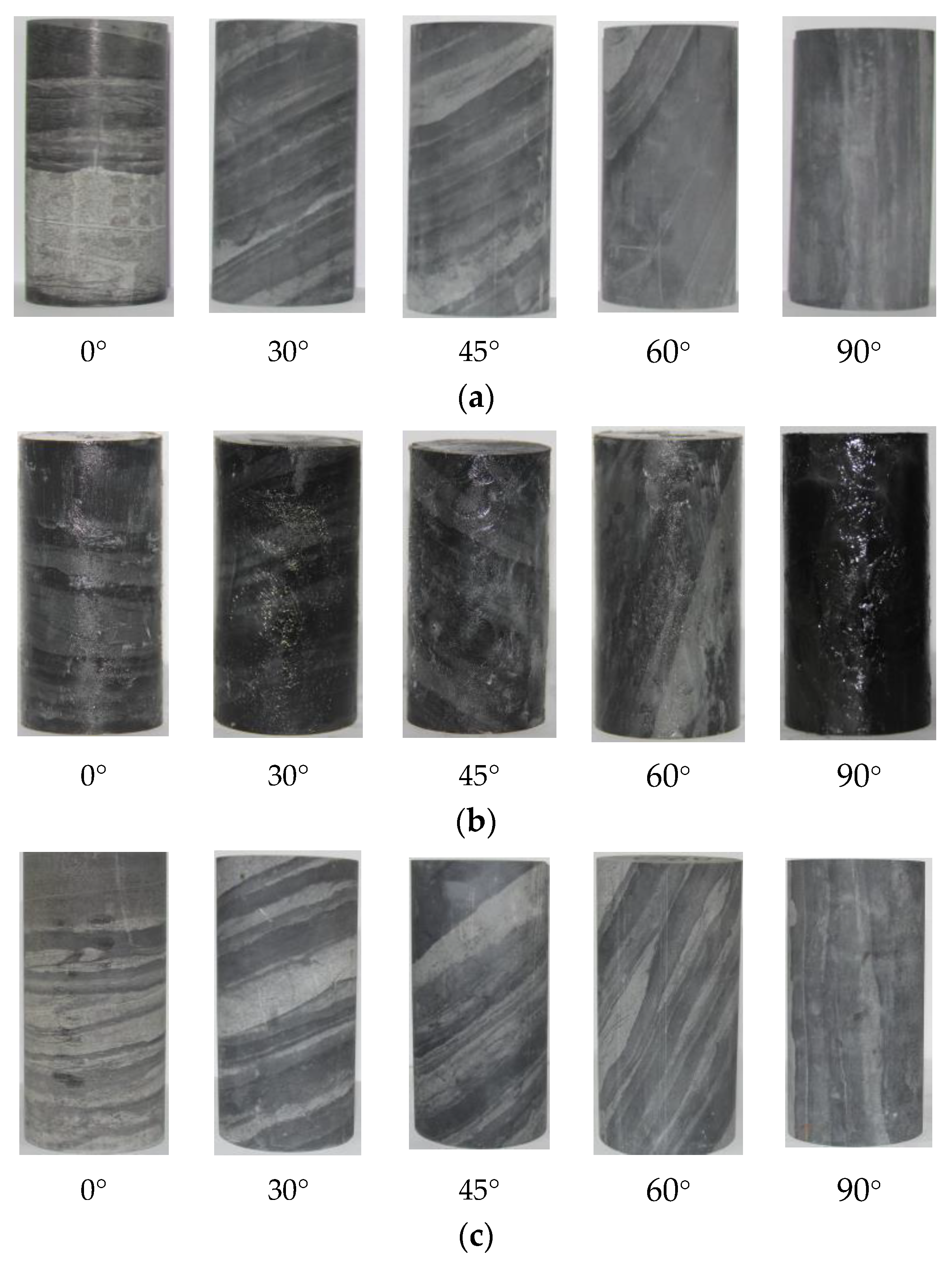 Ijerph 20 04055 g001 550