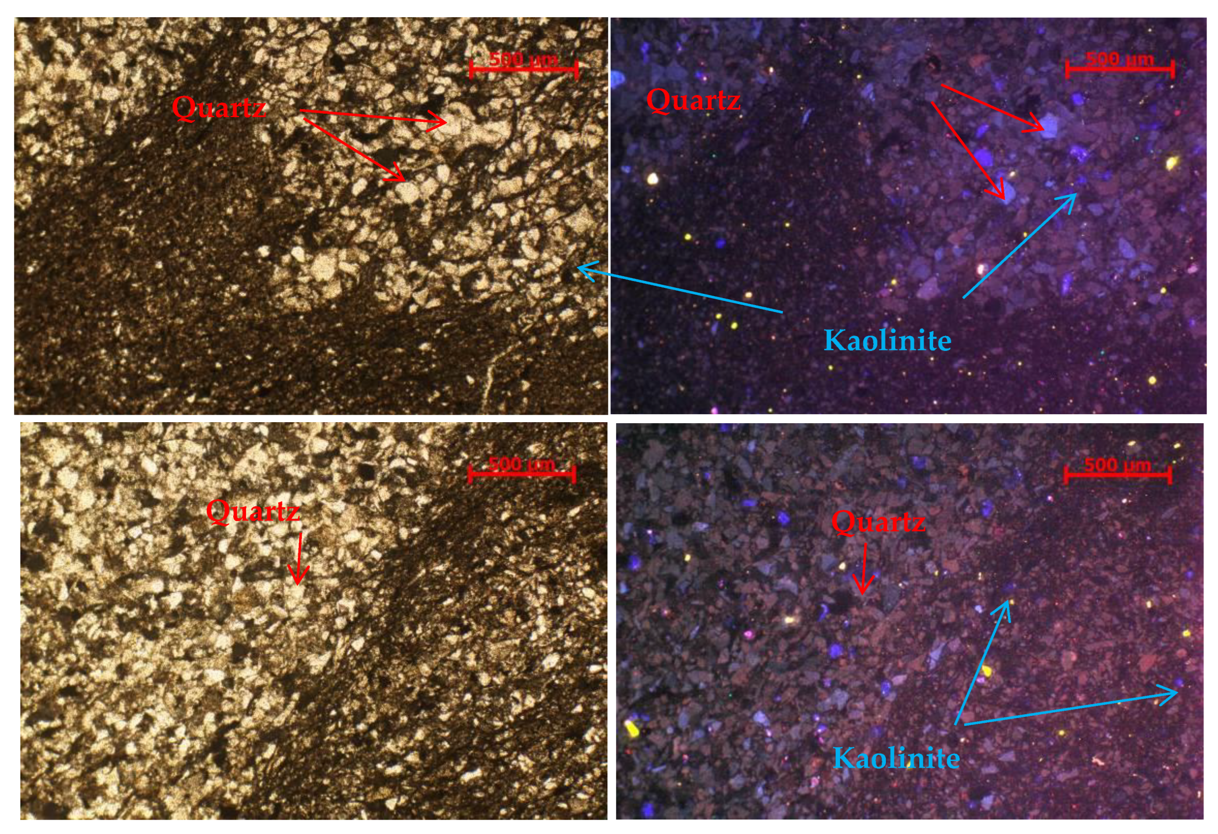 Ijerph 20 04055 g002 550