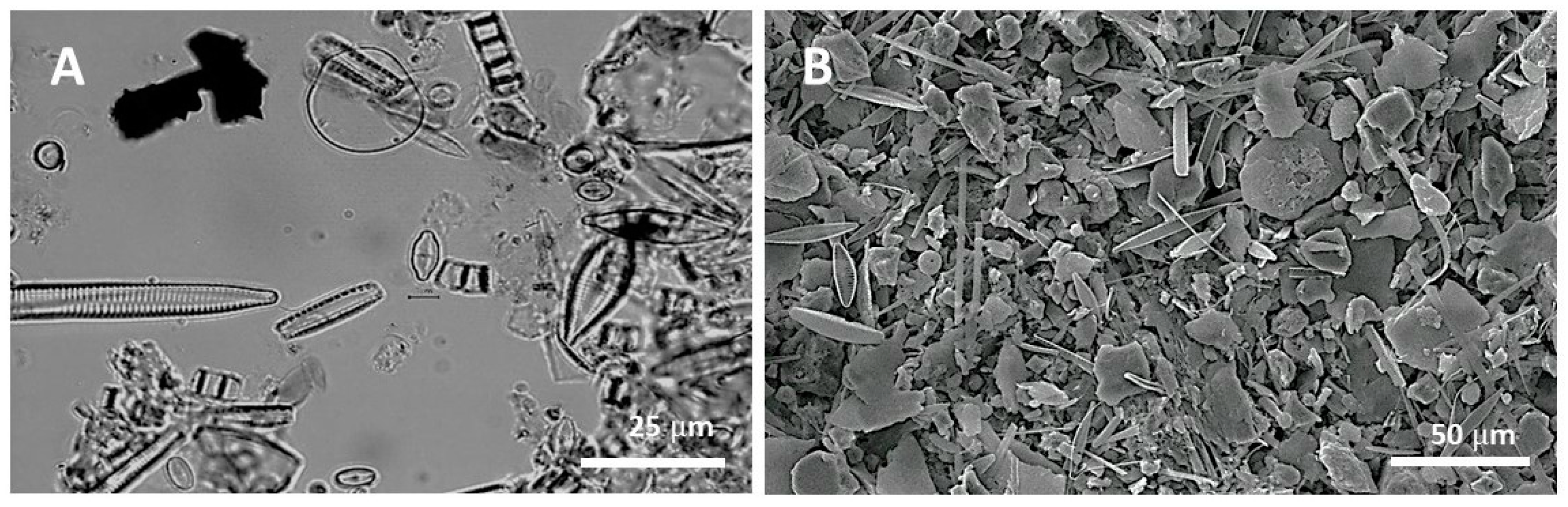 Ijerph 20 04099 g003