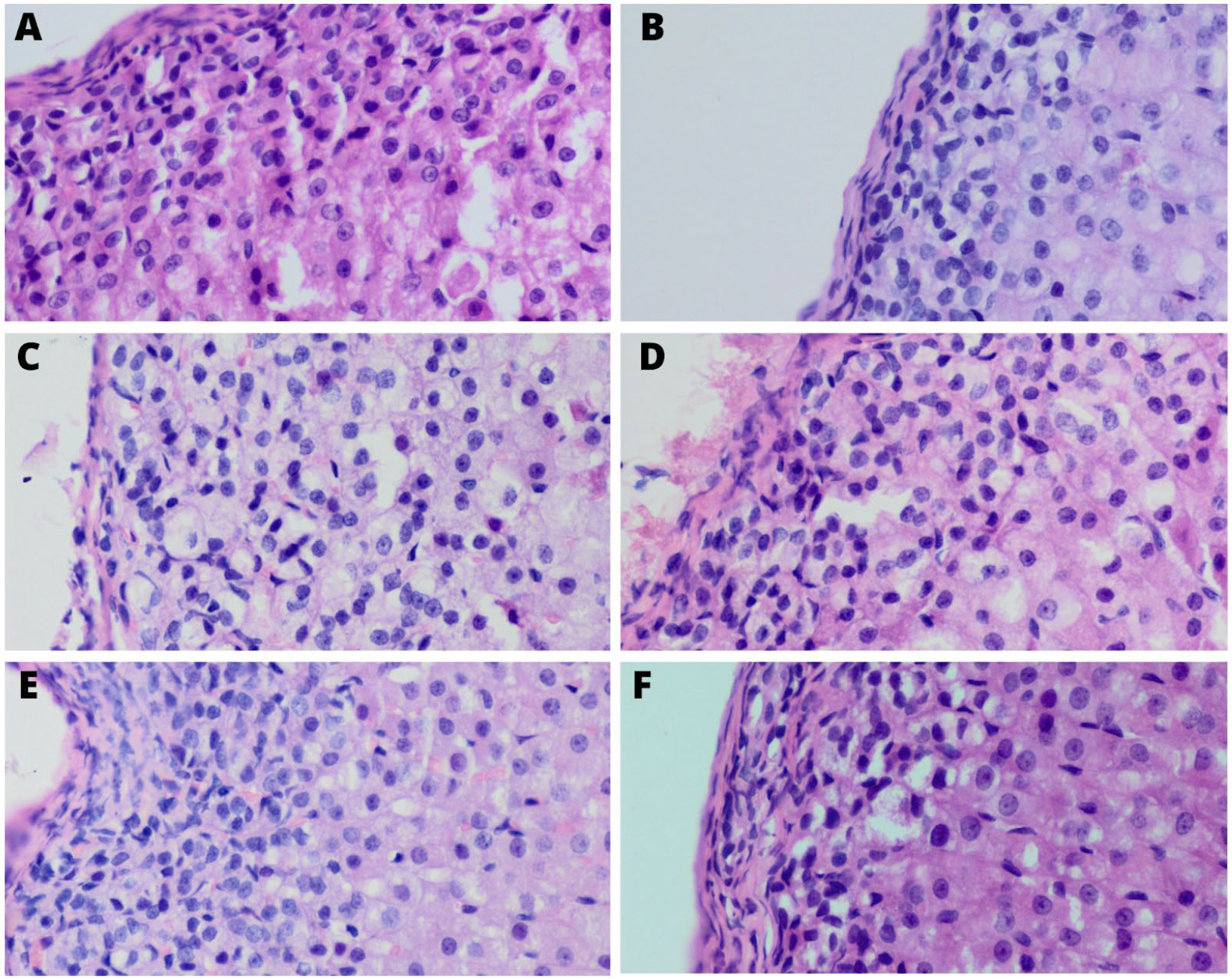 Ijerph 20 04105 g002 Ijerph 20 04105 g002