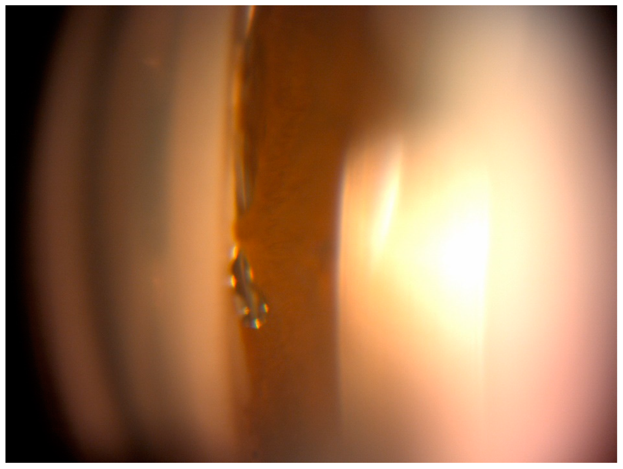 Ijerph 20 04152 g001