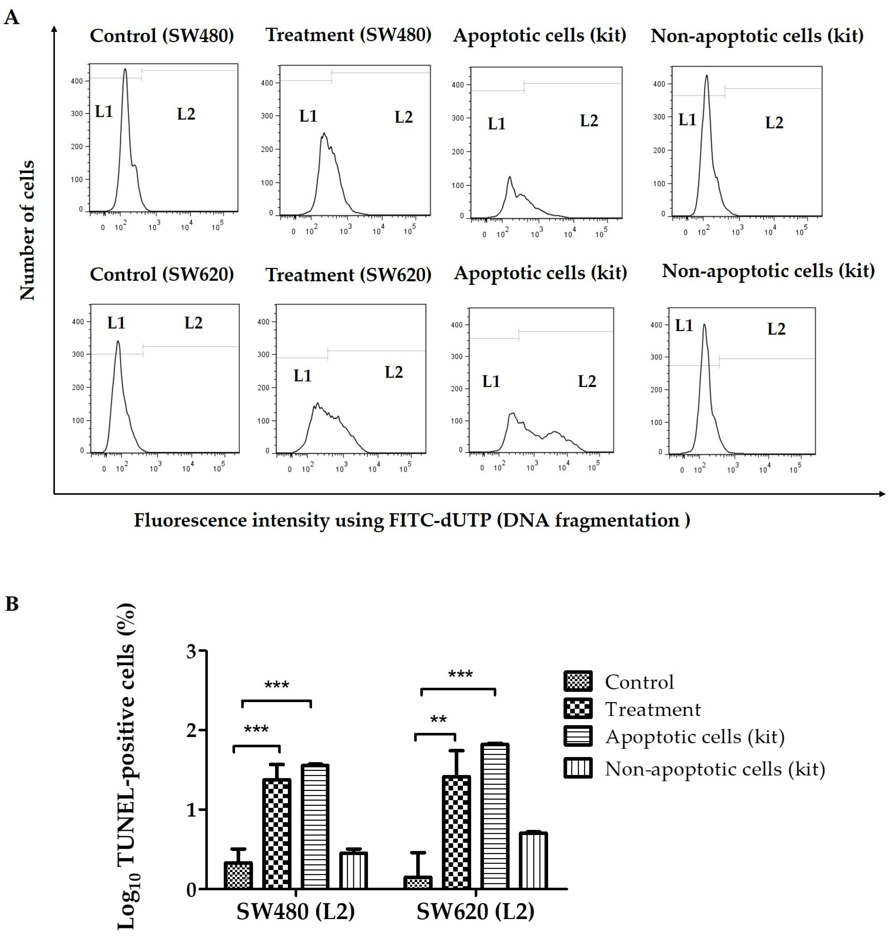 Ijerph 20 04165 g001