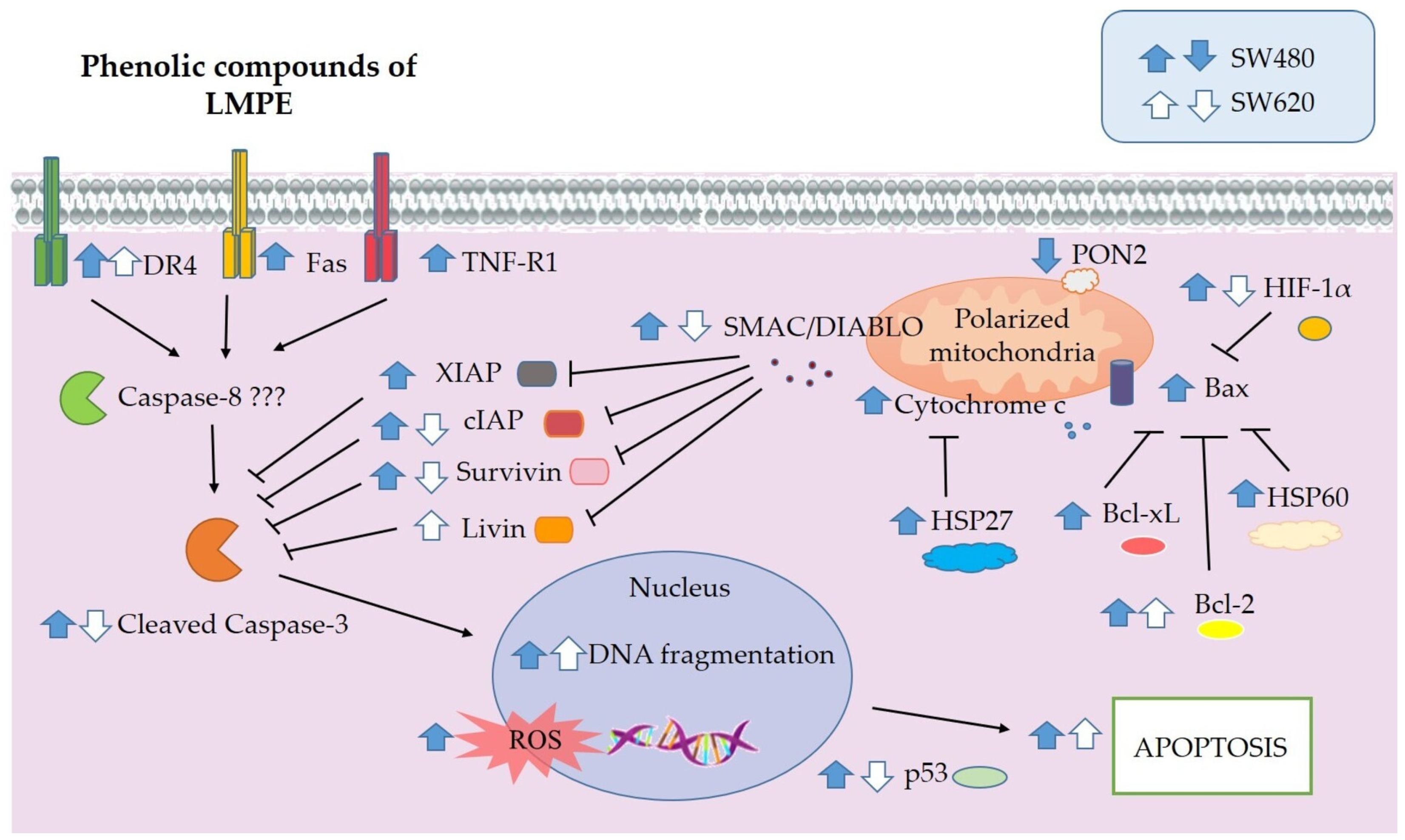 Ijerph 20 04165 g007