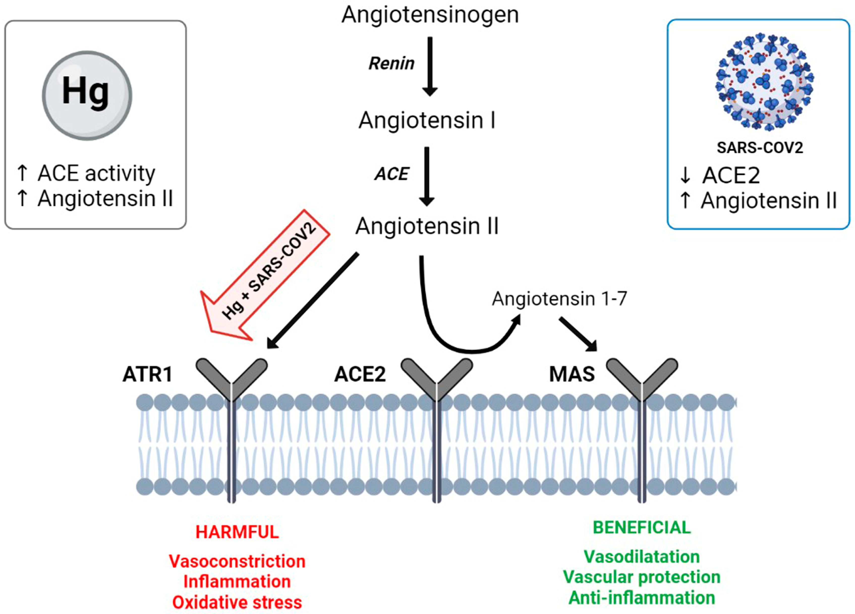 Ijerph 20 04207 g002 Ijerph 20 04207 g002