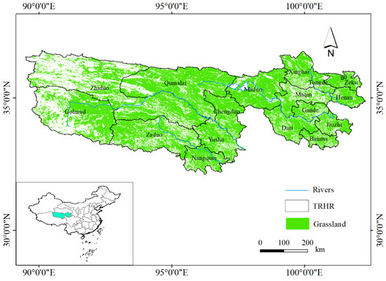 Dynamic Response and Adaptation of Grassland Ecosystems in